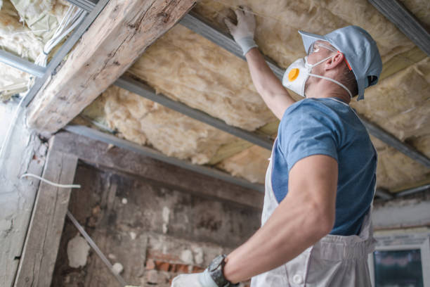 Insulation Replacement Services in Niverville, NY